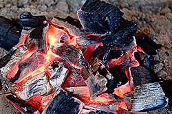 いろりの山蕗炭